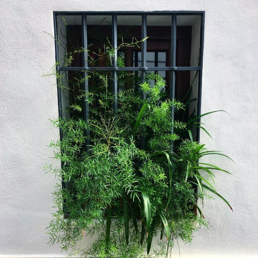 Casa-Patio Axerquia Apartment กอร์โดบา ภายนอก รูปภาพ